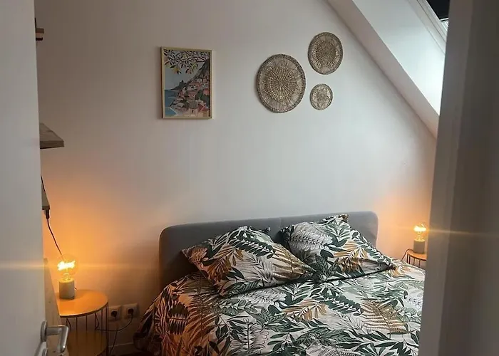 Apartment Grand Vue Theatre Hyper Centre Cherbourg-en-Cotentin