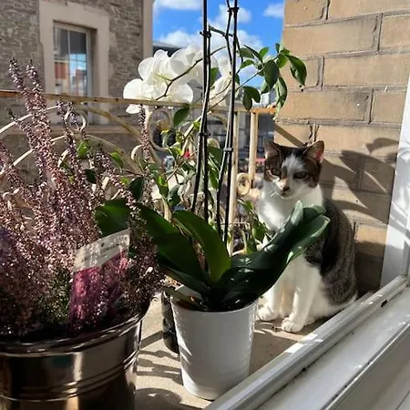 Grand Vue Theatre Hyper Centre Apartment Cherbourg-en-Cotentin