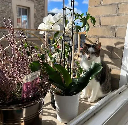 Grand Vue Theatre Hyper Centre דירה שרבורג